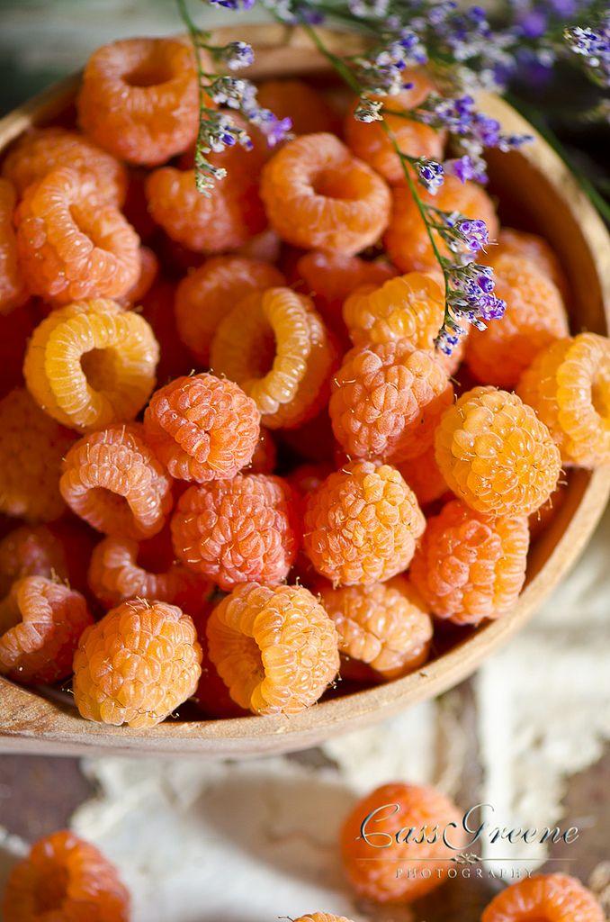 Harvest Medley: Nature's Choice Assortment